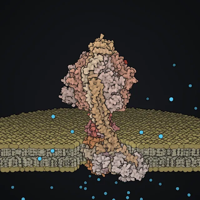 ATP synthase, rendered from PDB coordinates