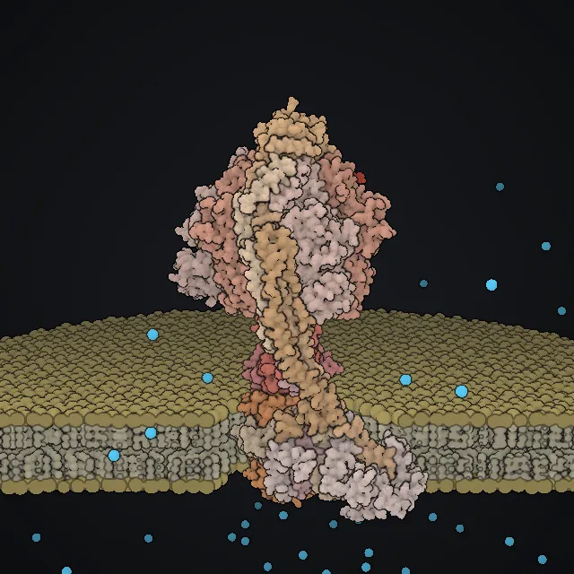 ATP synthase, rendered from PDB coordinates
