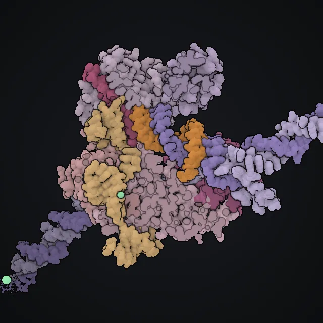 Cas9, rendered from PDB coordinates