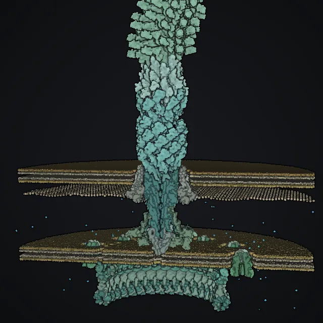 Bacterial flagellar motor, rendered from PDB coordinates