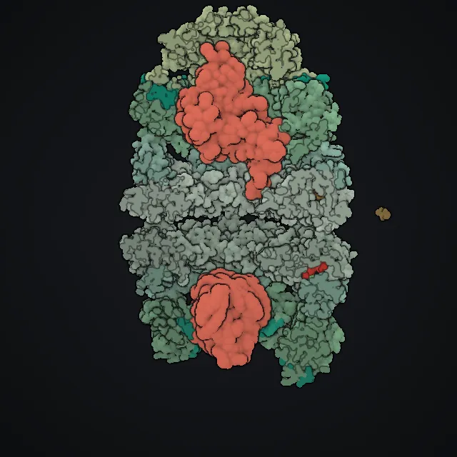 GroEL–GroES, rendered from PDB coordinates