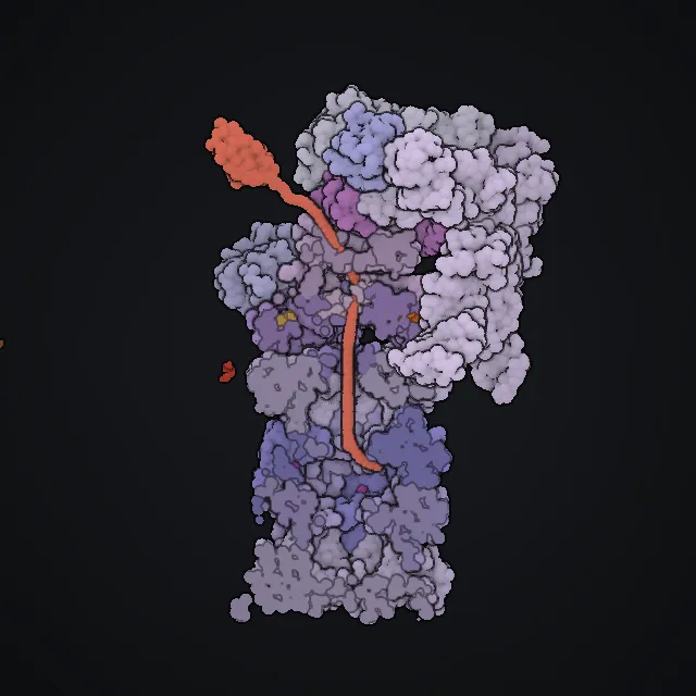 Proteasome, rendered from PDB coordinates